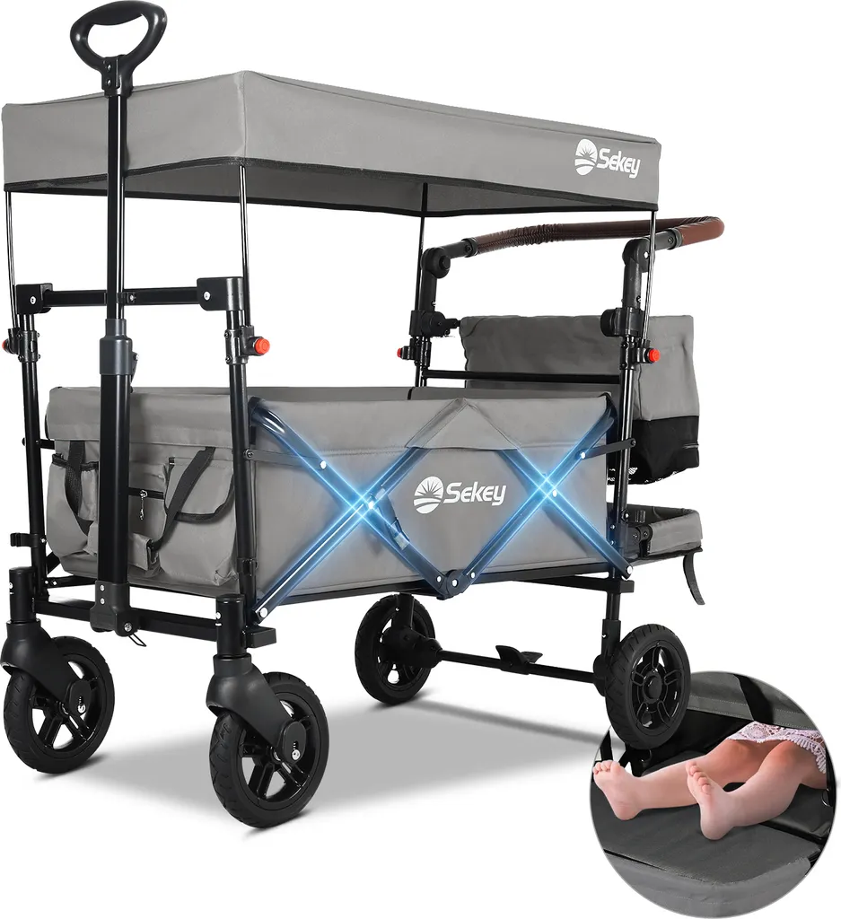 Chariot Sekey avec Ceinture 3 Points et Toit Amovible pour 2 Enfants - Gris