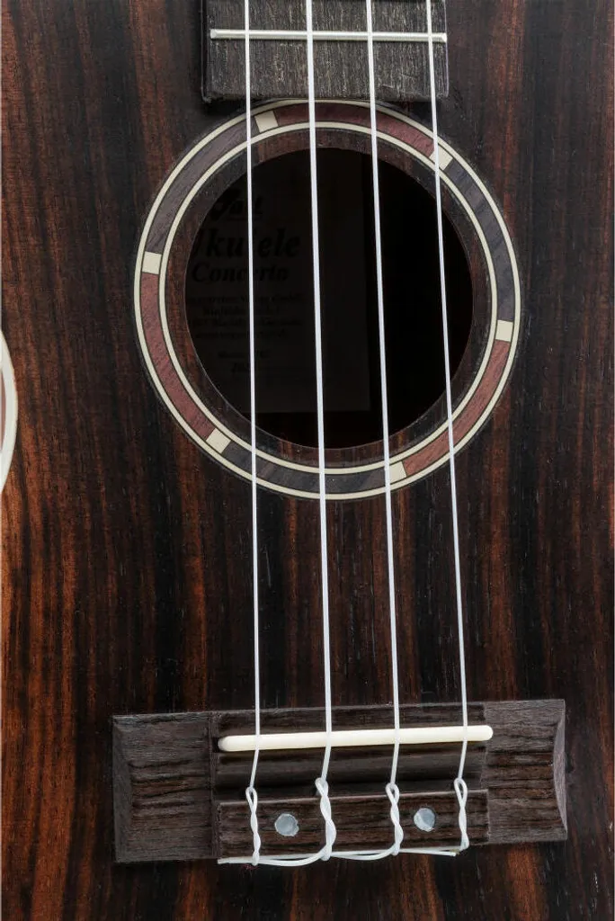 Ukulélé Concert VOLT pour Débutant dès 10 ans - Apprendre la Guitare