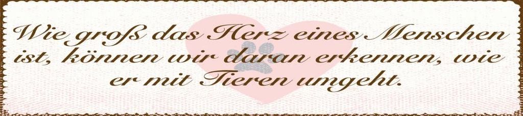 vianmo Blechschild 46x10 cm Menschen Herz Tiere umgeht