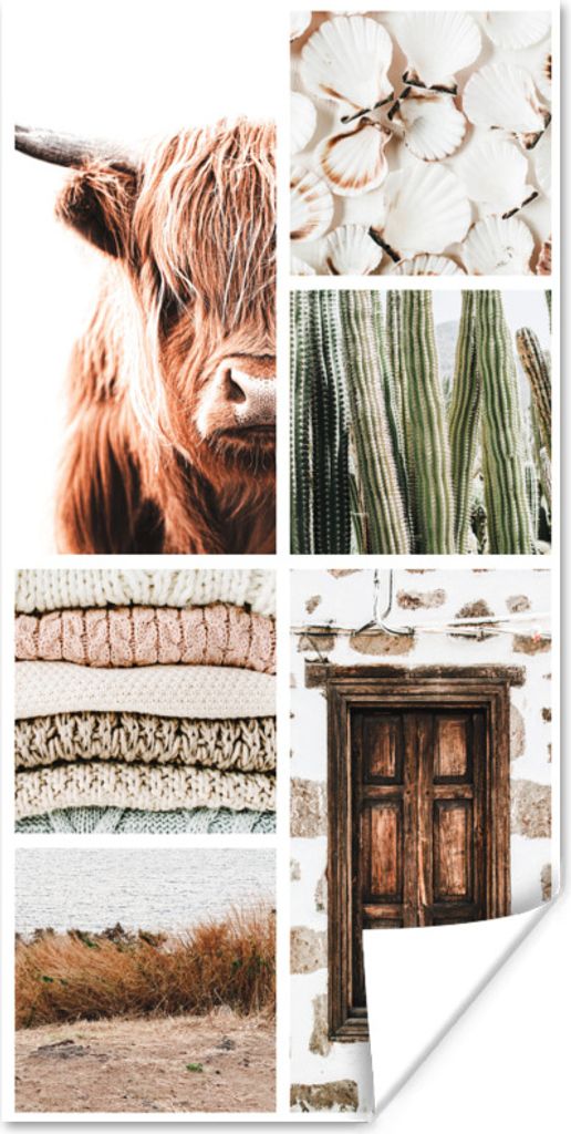 MuchoWow Poster Schottischer Highlander - Collage - Kaktus 60x120 cm - Wandschmuck