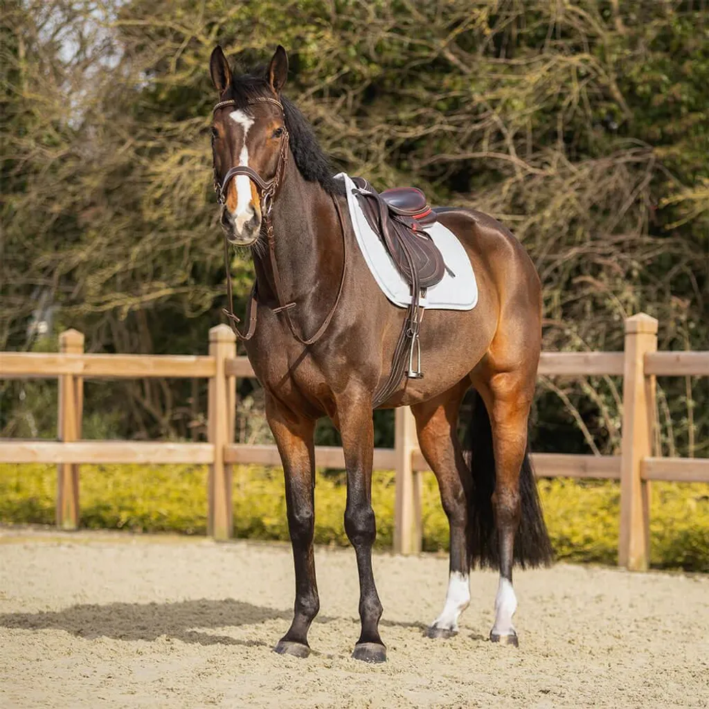 Sottosella QHP Firenze Equitazione - Performance e Design Anatomico