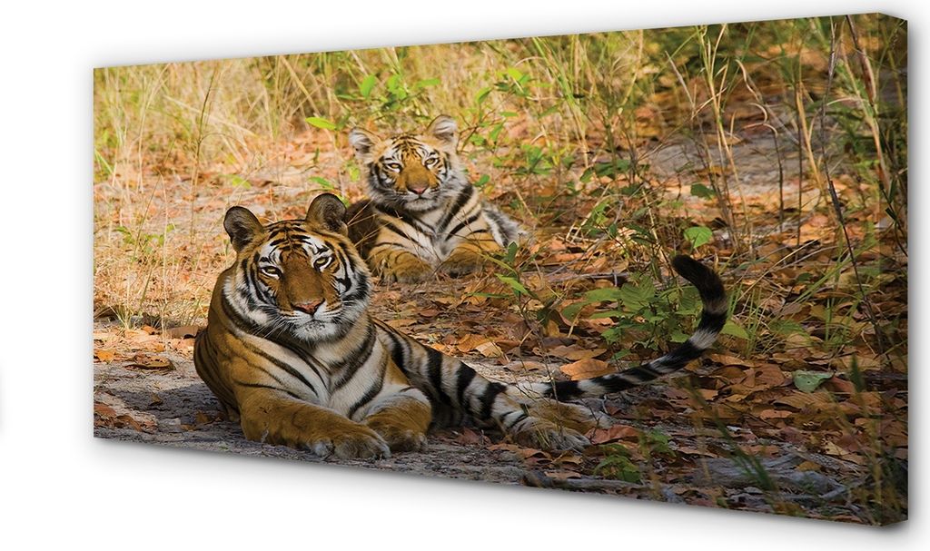 Leinwandbild 100x50 Wandkunst Tigers