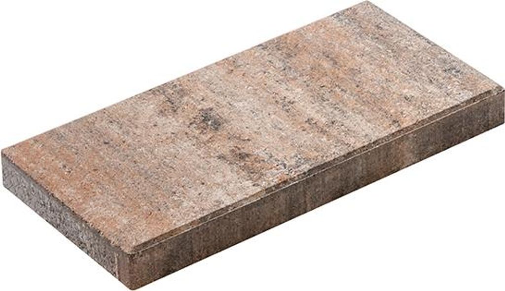 Terrassenplatten VIA MUSCHELKALK 40/20/4 CM PE2