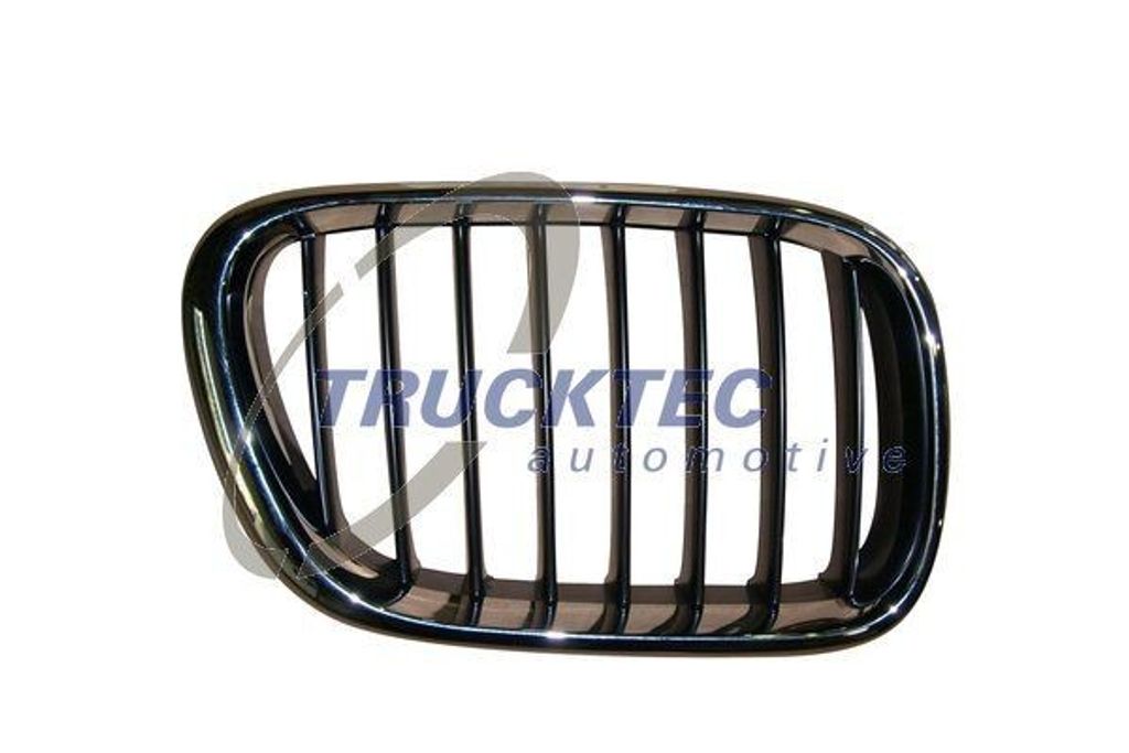 TRUCKTEC AUTOMOTIVE 08.62.253 Kühlergrill Frontgrill für BMW X5 (E53) Rechts