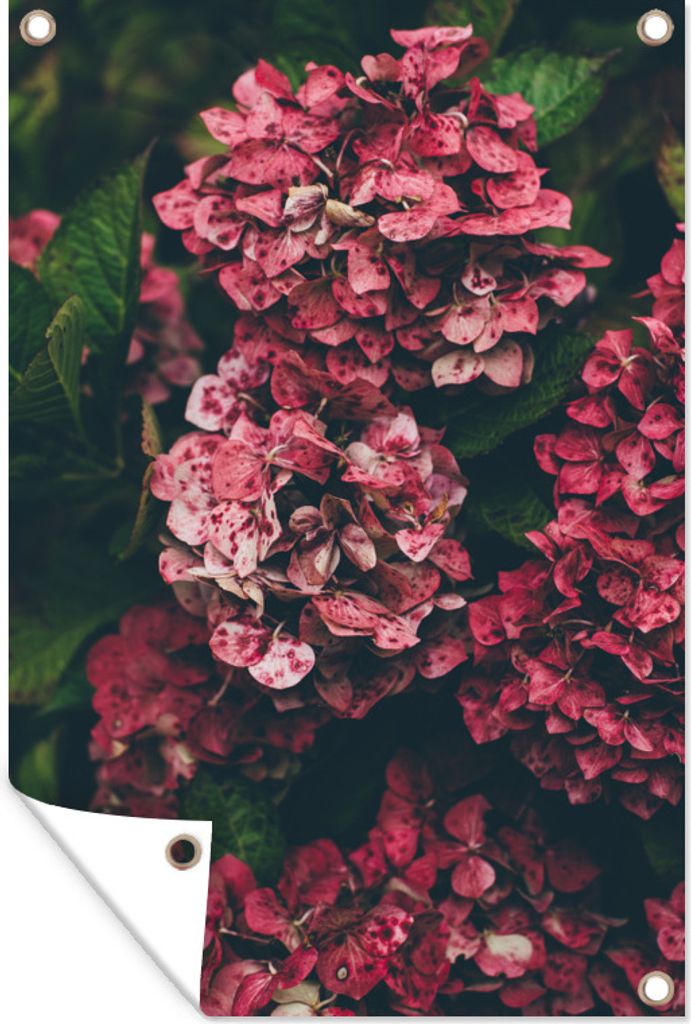 MuchoWow 60x90 cm Outdoor-Poster Gartendeko Sichtschutz Garten Poster für den Garten Hortensie - Blume - Strauch