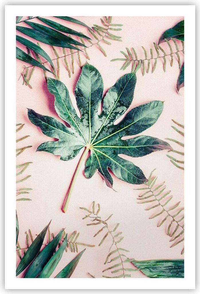 Poster - Poster ohne Rahmen - Blatt Tropisch Palme - 61x91,5 cm - Wand Bild - Wanddeko - Wandbilder - Kunstposter - Wandposter - Bilder - Kunstdruc...
