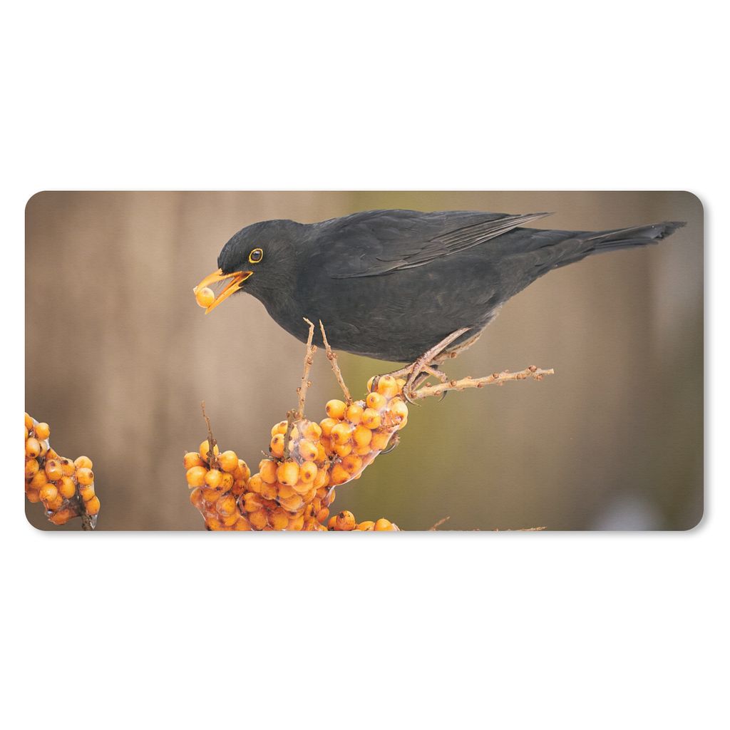 MuchoWow Schreibtischunterlage Vogel - Amsel - Winter - Eis - Beere 80x40 cm - XXL Mauspad - Gaming Mauspad