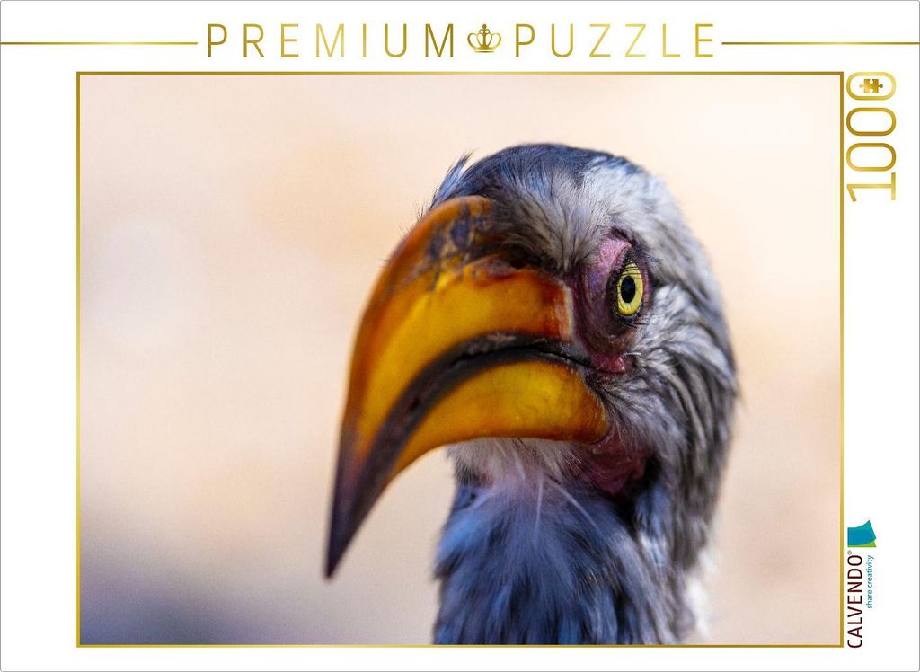 CALVENDO Puzzle Neugieriger Gelbschnabeltoko in Botswana | 1000 Teile Lege-Größe 64x48cm Foto-Puzzle für glückliche Stunden