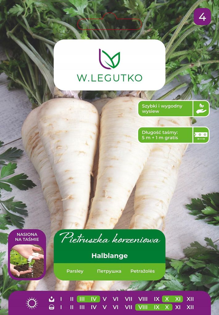 Pietruszka Korzeniowa Halblange Na Taśmie 6 M - Późna W. Zdjęcie produktu 