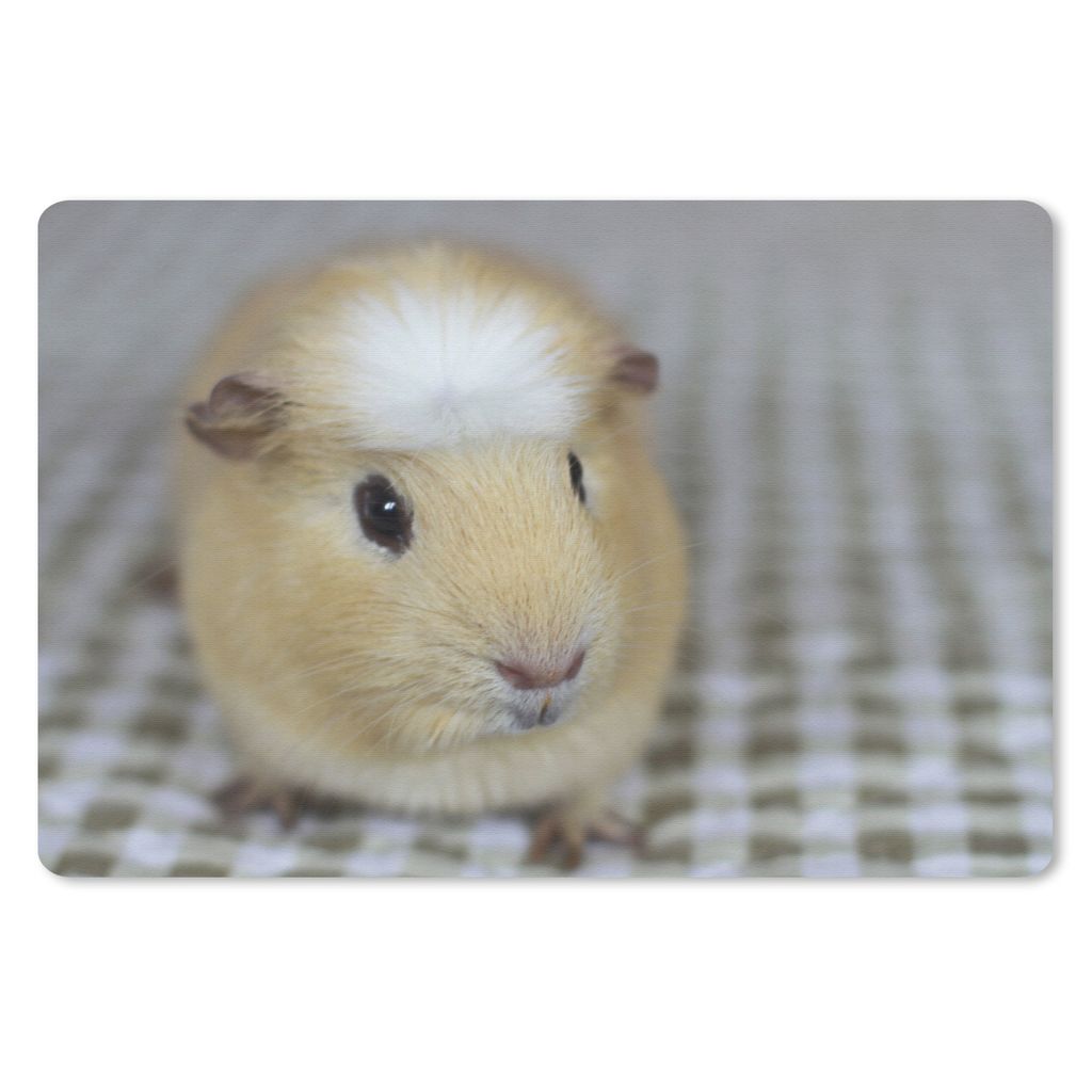MuchoWow Schreibtischunterlage Kleines Meerschweinchen 60x40 cm - XXL Mauspad - Großes Mauspad