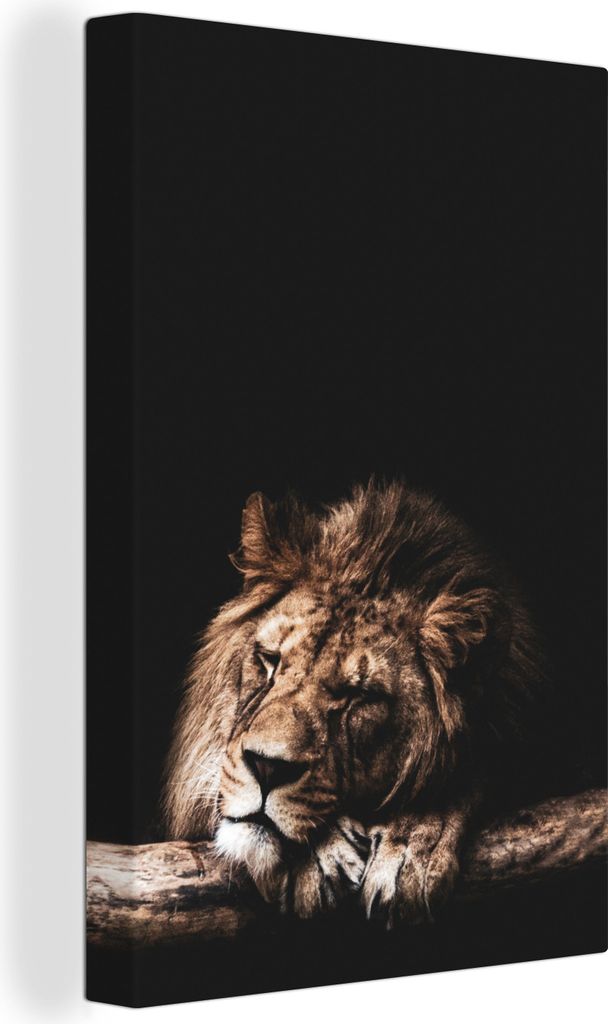 OneMillionCanvasses - Leinwandbilder - 90x140 cm, Löwe - Rüssel - Farben, Wandbilder Kunstdruck Wanddekoration - Wandschmucke - Schlafzimmer