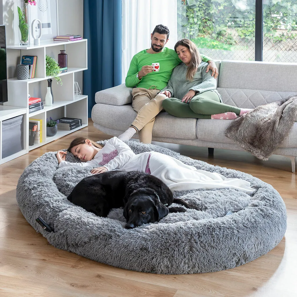 Lit de Chien pour Humains XXL Gris à Mémoire de Forme - Douceur Ultra