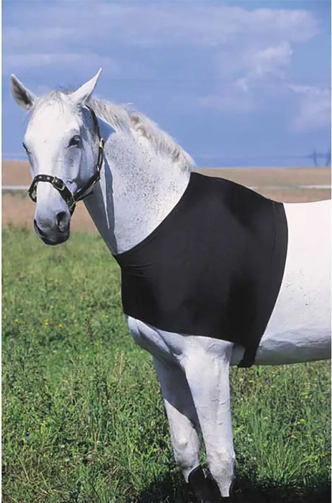 Protection d'épaule Equithème - Protection anti-frottement pour cheval