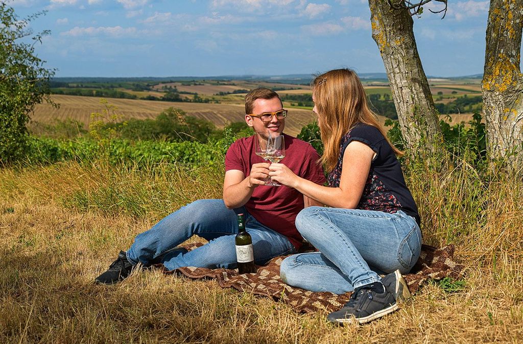 mydays Picknick im Weingarten Hohenruppersdorf für 2; Erlebnis verschenken oder selbst erleben; Gutschein für 2 Person(en)