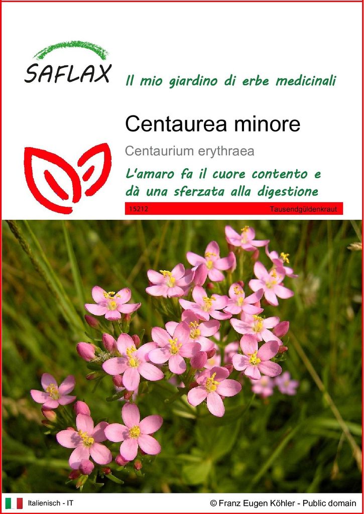SAFLAX  - Centaurea minore - 250 semi - Centaurium Immagine del prodotto 