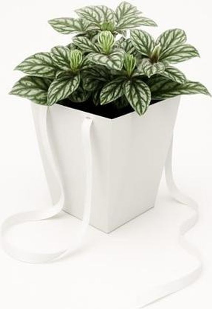 Prestige-Tasche Weiß 125 x 125 x 180/165 x 165 mm Floristik-Tasche für Blumen