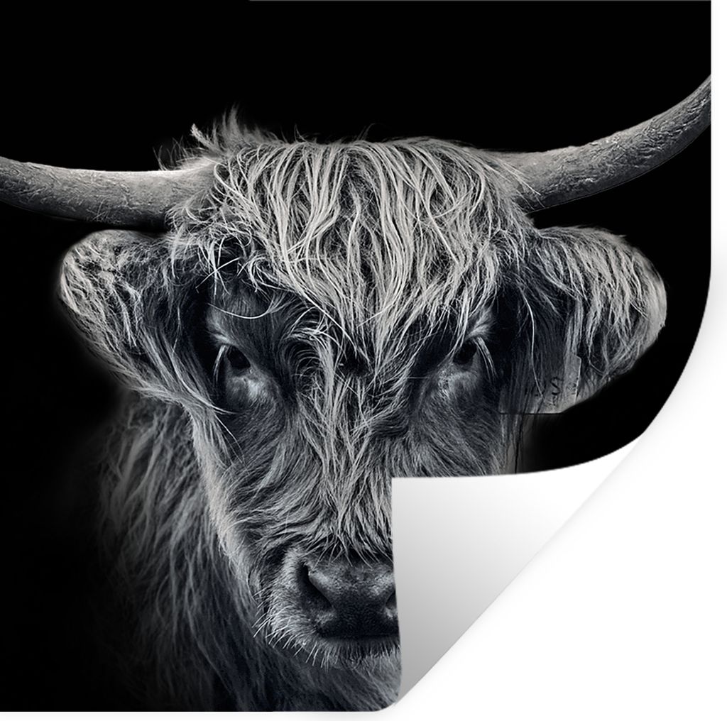 MuchoWow Wandtattoo Wandsticker Wandaufkleber Schottischer Highlander - Schwarz - Kuh - Tiere 100x100 cm Selbstklebend und Repositionierbar - Wie...