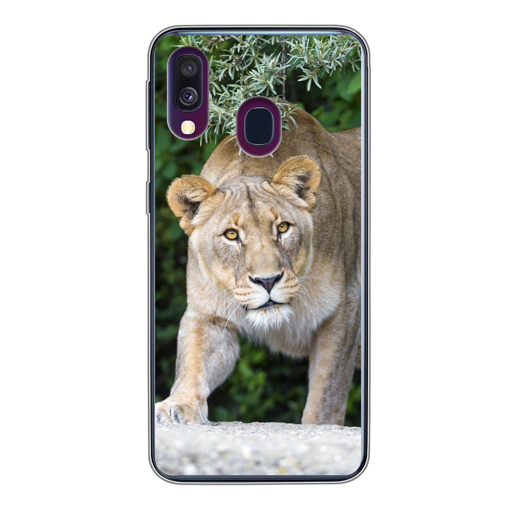 MuchoWow Handyhülle Schutzhülle Hülle für Samsung Galaxy A40 Löwinnen - Wilde Tiere - Jagd Silikon Softcase Handy Hülle - Handy-Tasche