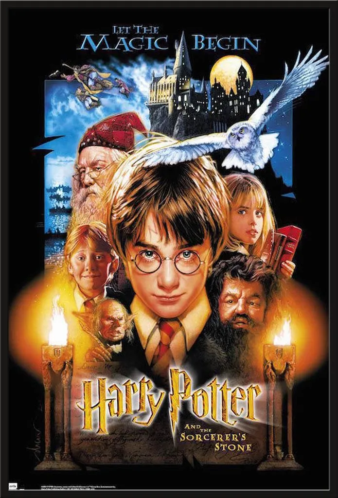 Cadre Harry Potter Pierre Philosophale vitre acrylique Shinsuke robuste