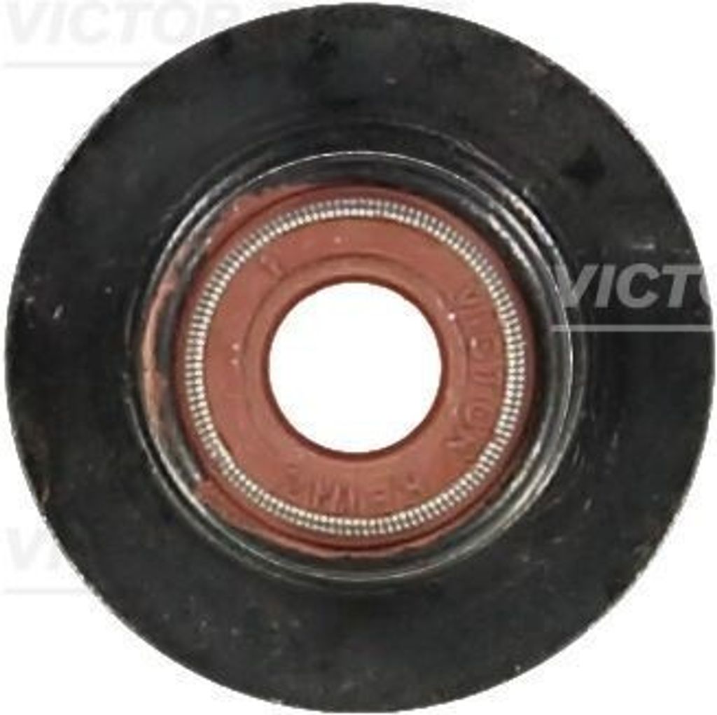 REINZ Ventilschaftdichtung Ventilschaftdichtung 70-37553-00 für FIAT Ducato Kastenwagen (250, 290)