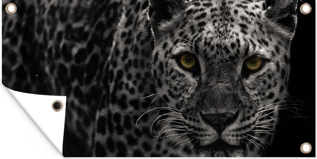 MuchoWow 80x40 cm Outdoor-Poster Gartendeko Sichtschutz Garten Poster für den Garten Leopard - Schwarz - Weiß