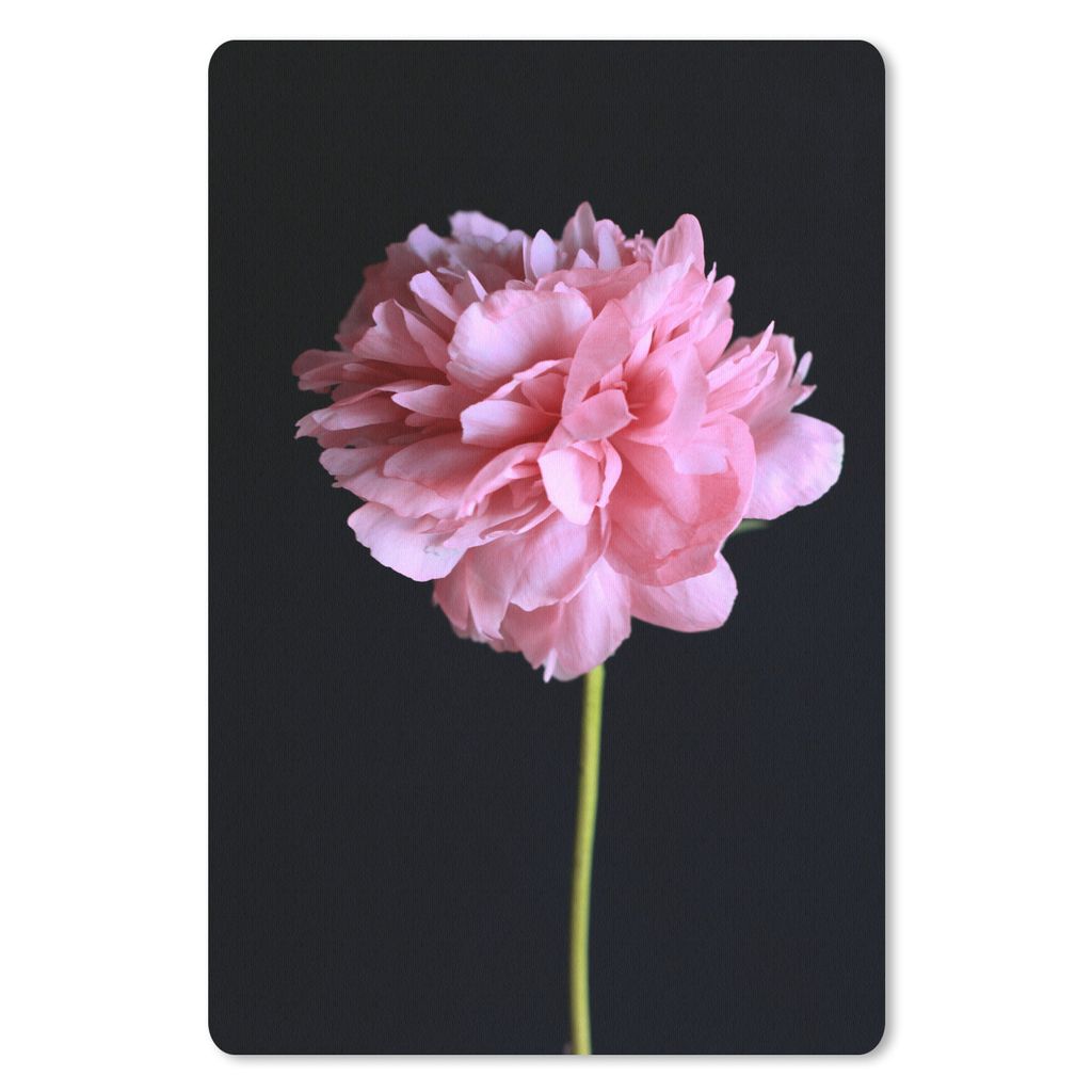 MuchoWow Mauspad Mousepad Rosa Pfingstrose in Blüte 40x60 cm - Mousepads - Maus Mat - Pad - Mausunterlage - Schreibtisch Accesoire