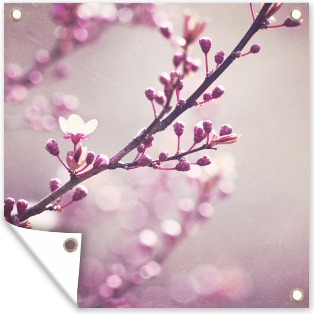 MuchoWow 100x100 cm Outdoor-Poster Gartendeko Sichtschutz Garten Poster für den Garten Nahaufnahme der violetten Blüten einer Sakura