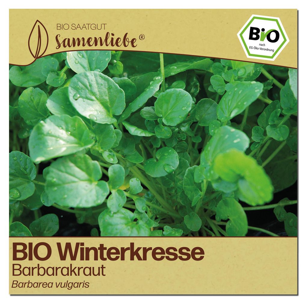 Samenliebe  Winterkresse Samen | Barbarakraut - winterhart Produktbild 