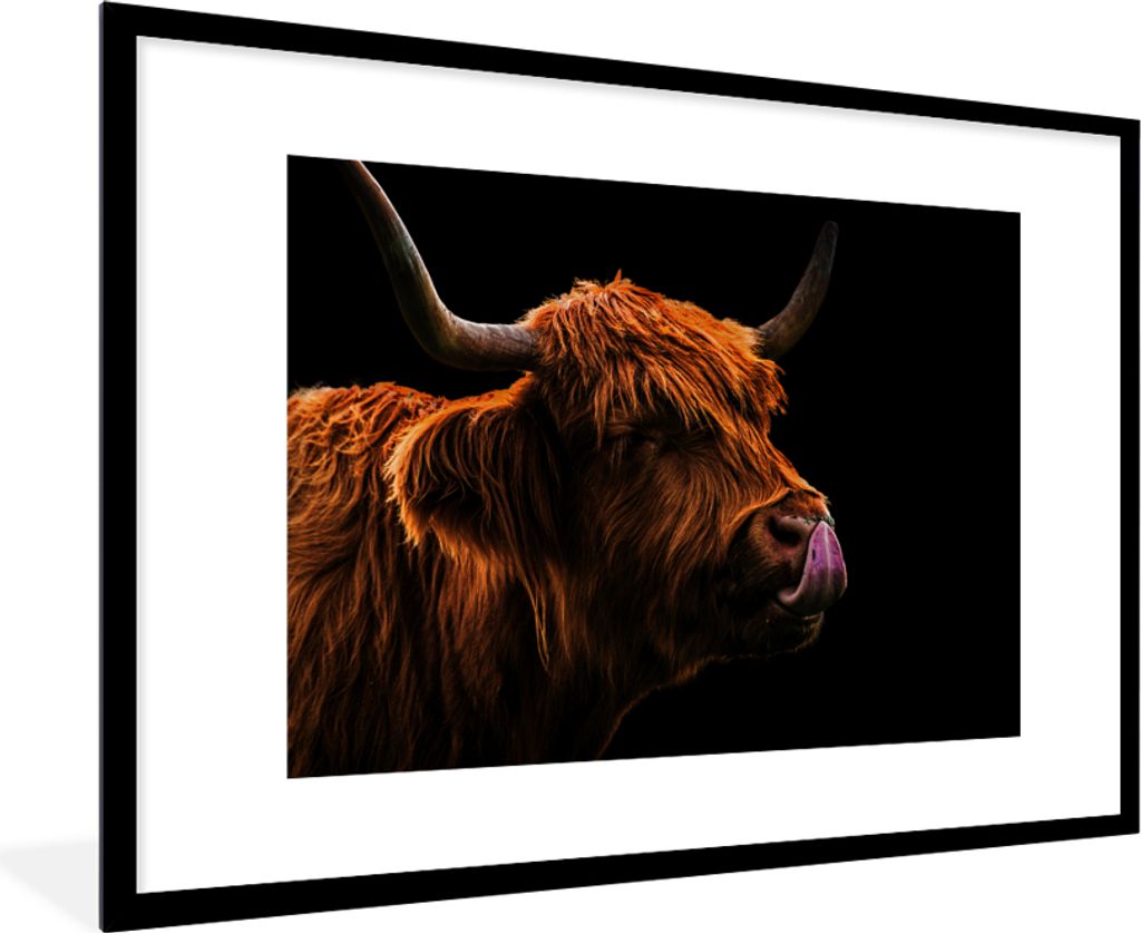MuchoWow MuchoWow Gerahmtes Poster Schottisches Hochlandrind - Zunge - Nase 90x60 cm - Poster mit zchwarzem Bilderrahmen - Wanddekoration - Fotos