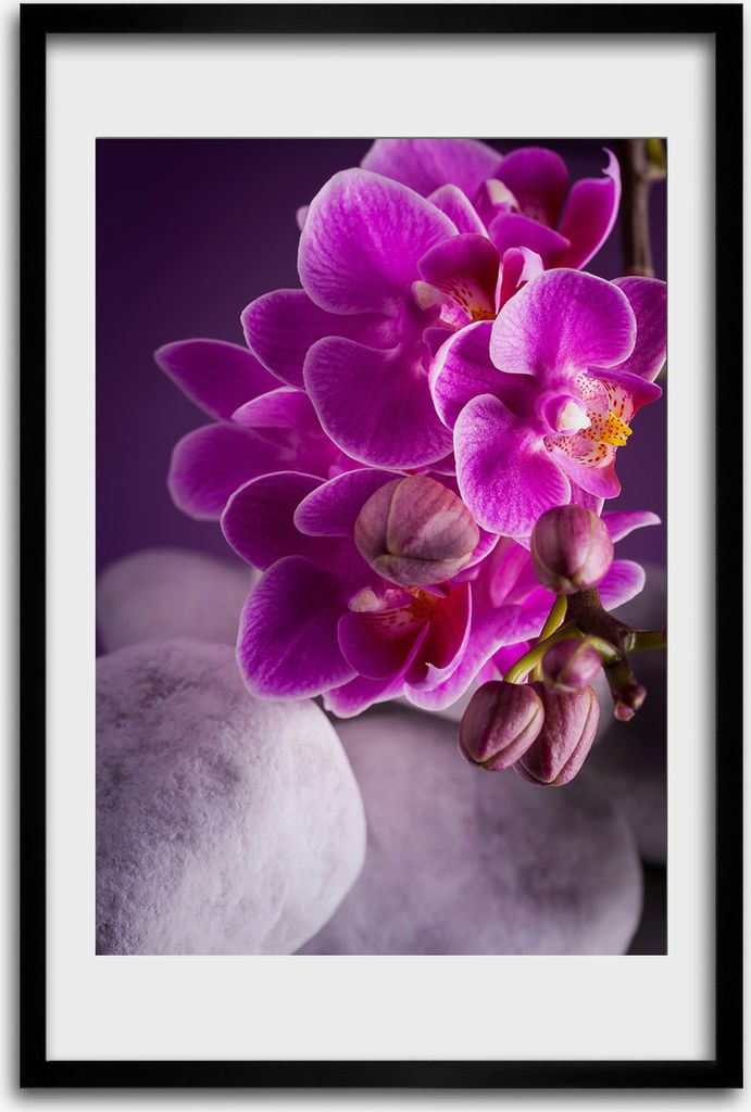 Bild - Bilderrahmen - 40 cm x 60 cm - MDF - Rahmen - Produktbild 
