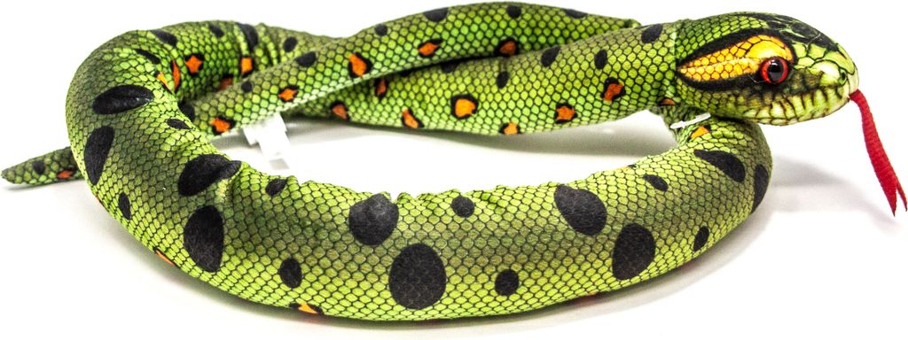 A stuffed toy snake coiled on a white background.