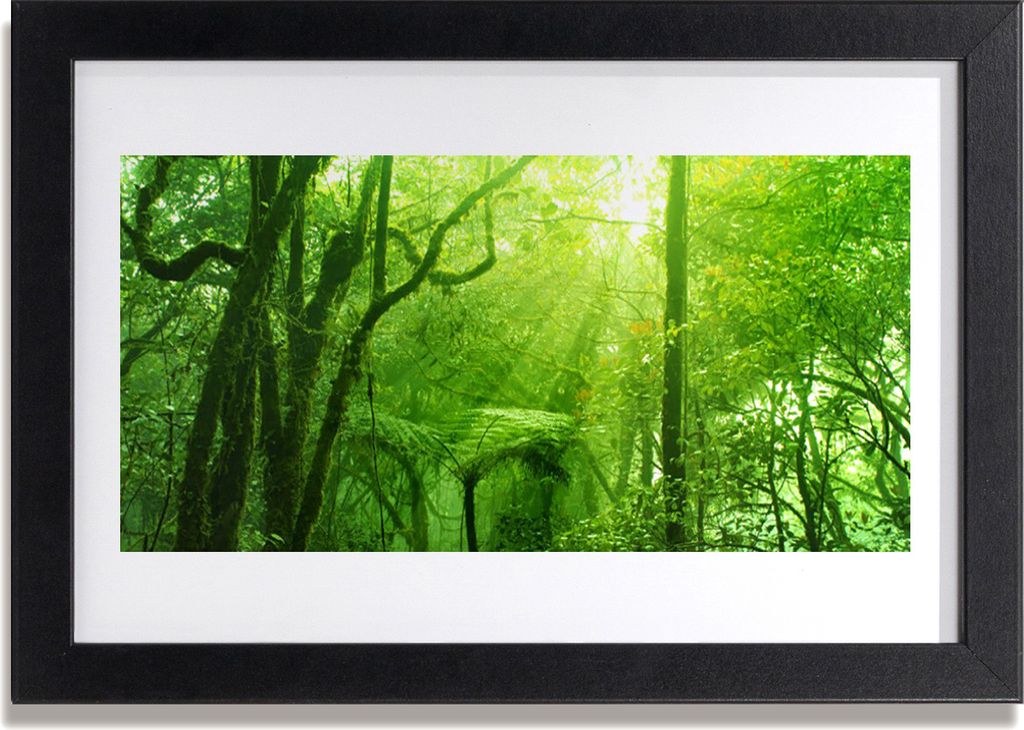 Bild 30x20 MDF-Rahmen Wandkunst Bäume Natur