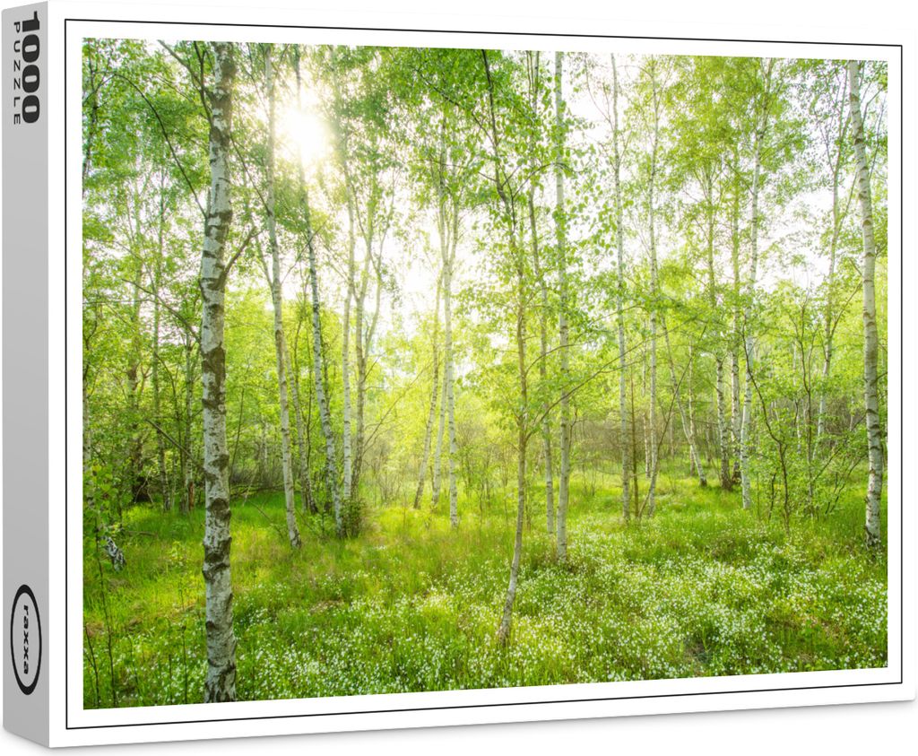 raxxa Premium-Puzzle "Birkenwald", 1000 Teile