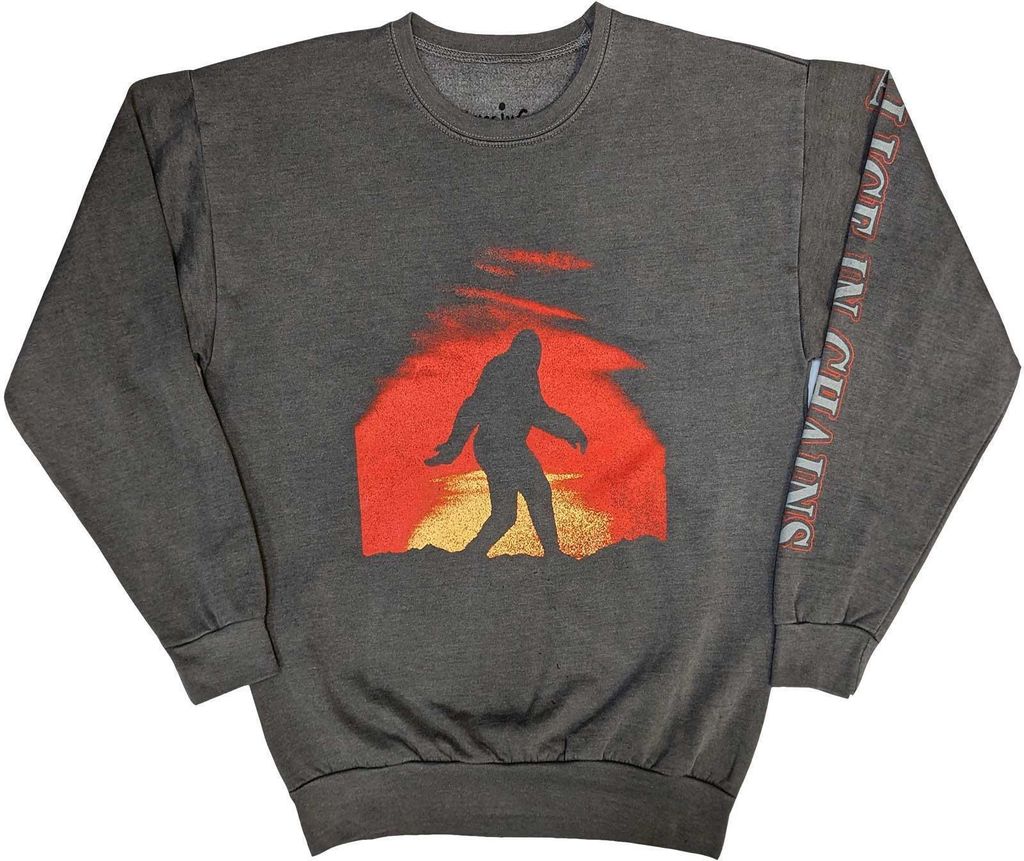 Alice In Chains - Sweatshirt für Herren/Damen Uni RO9433 (S) (Anthrazit)