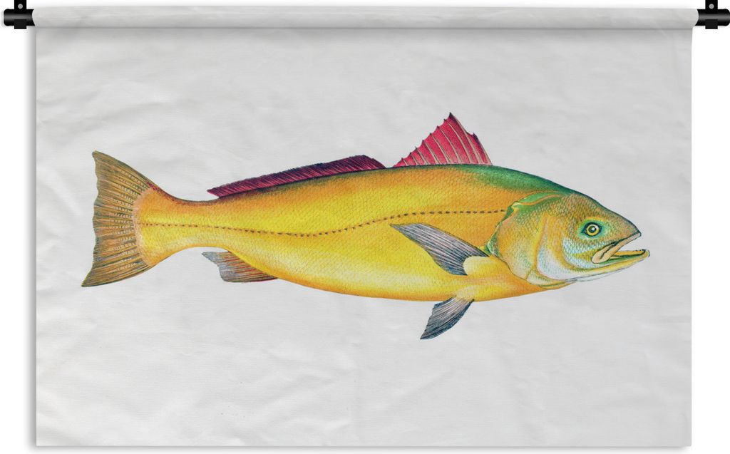 MuchoWow Wandteppich Wandbehang Fisch - Gold - Barsch 90x60 cm Tapisserie Dekoration Wandtuch - Wandskulpturen - Bildteppich