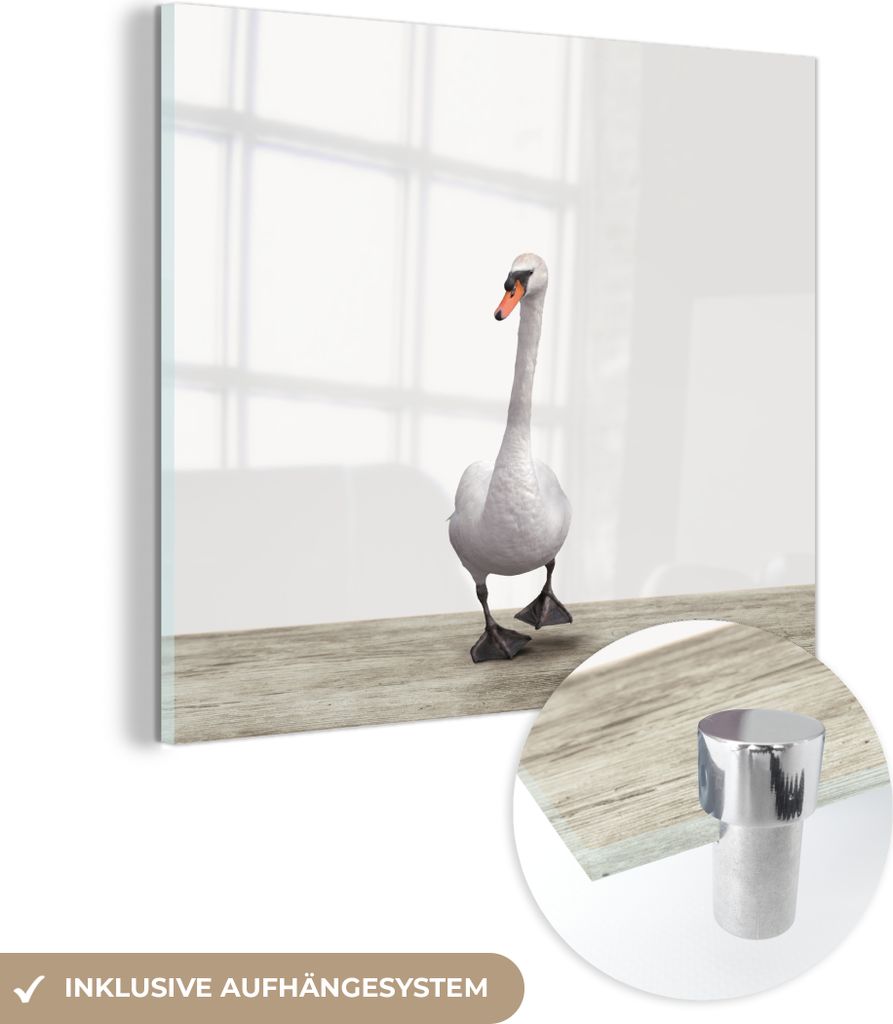 MuchoWow Glasbilder - Bilder auf Wandbild - Foto auf Glas Schwan - Tiere - Vogel - Jungen - Mädchen - Kinder 20x20 cm Wanddekoration aus Glas - Ac...