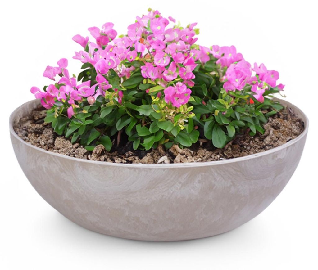 Jardinière pour l'extérieur Coupelles décoratives rondes Image du produit 