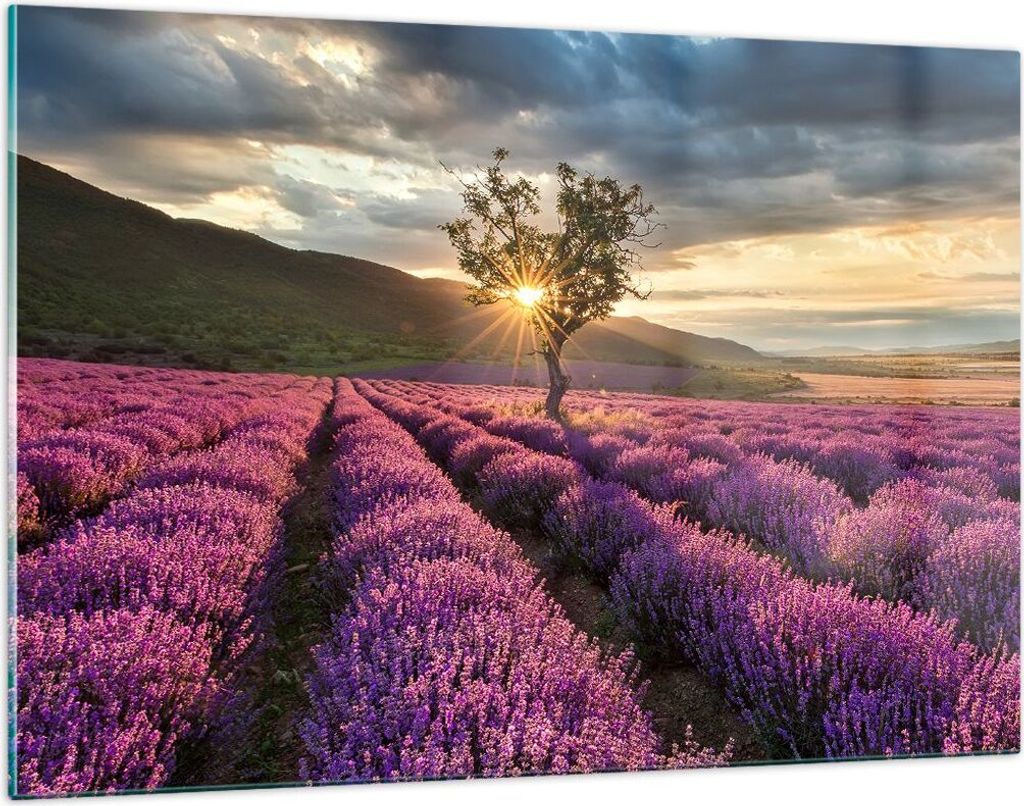 Bilder auf glas - Lavendel Berge Feld - 120x80cm - Glasbilder - Wandbilder - Kunstdruck - zum Aufhängen bereit - Wanddekoration aus Glas - Glas Bi...