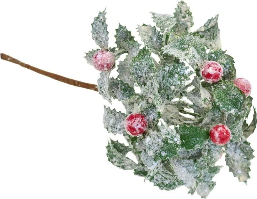 Grüne Brühe mit Rhabarber 25x16 cm