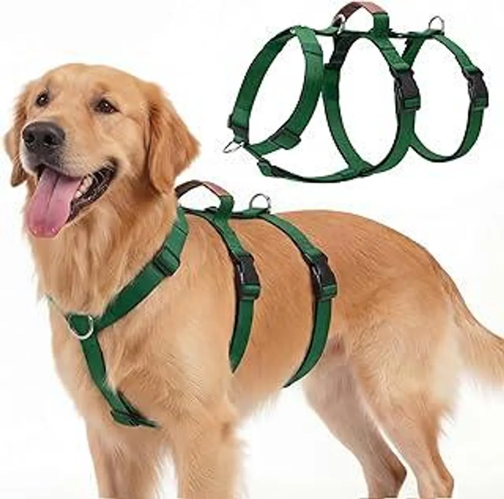 Pettorina Cane Verde Scuro M Antifuga con Maniglia - Morbida e Sicura