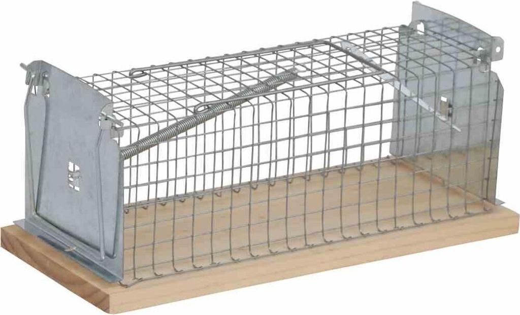 SIENA GARDEN Drahtkastenfalle 15x6x6cm mit 1 Einlauf