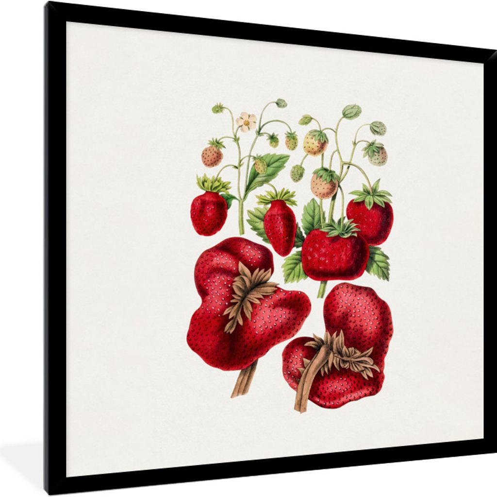 MuchoWow Gerahmtes Poster Erdbeeren - Obst - Lebensmittel 40x40 cm - Poster mit Schwarzem Bilderrahmen Wandposter Rahmen Foto Bilder - Mit Rahmen...