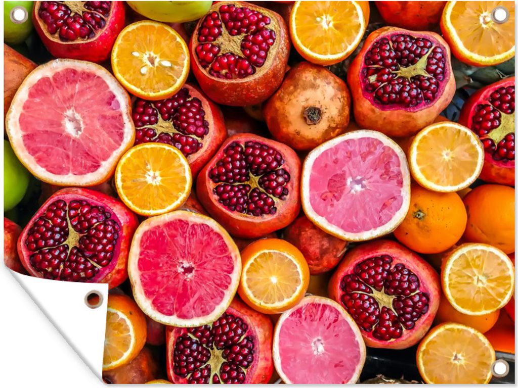 MuchoWow 40x30 cm Outdoor-Poster Gartendeko Sichtschutz Garten Poster für den Garten Orange - Granatapfel - Rot