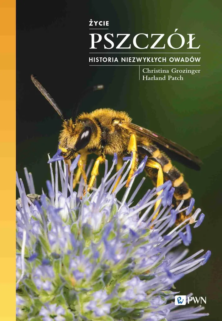 Comprendre les Abeilles : Le Guide Historique pour Passionnés Nature