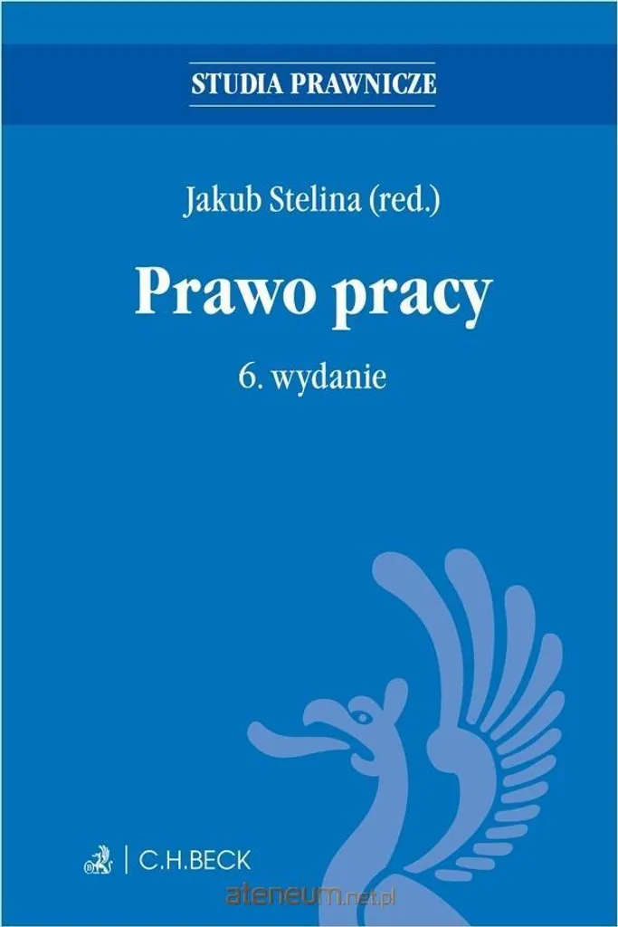 Manuel Prawo pracy avec tests online 6e éd. : l'essentiel du droit pro