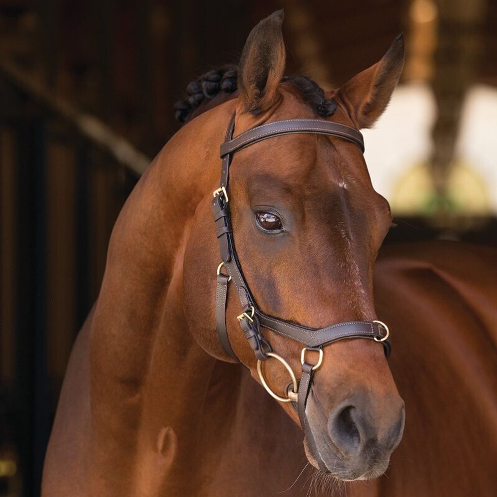 Horseware Rambo Micklem Multibridle - brown, Produktbild