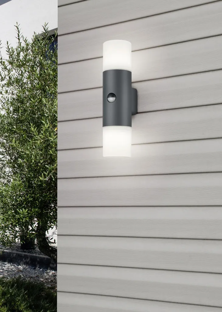 Applique Esterno Hoosic Antracite con Sensore Trio Lighting - Acquista Online