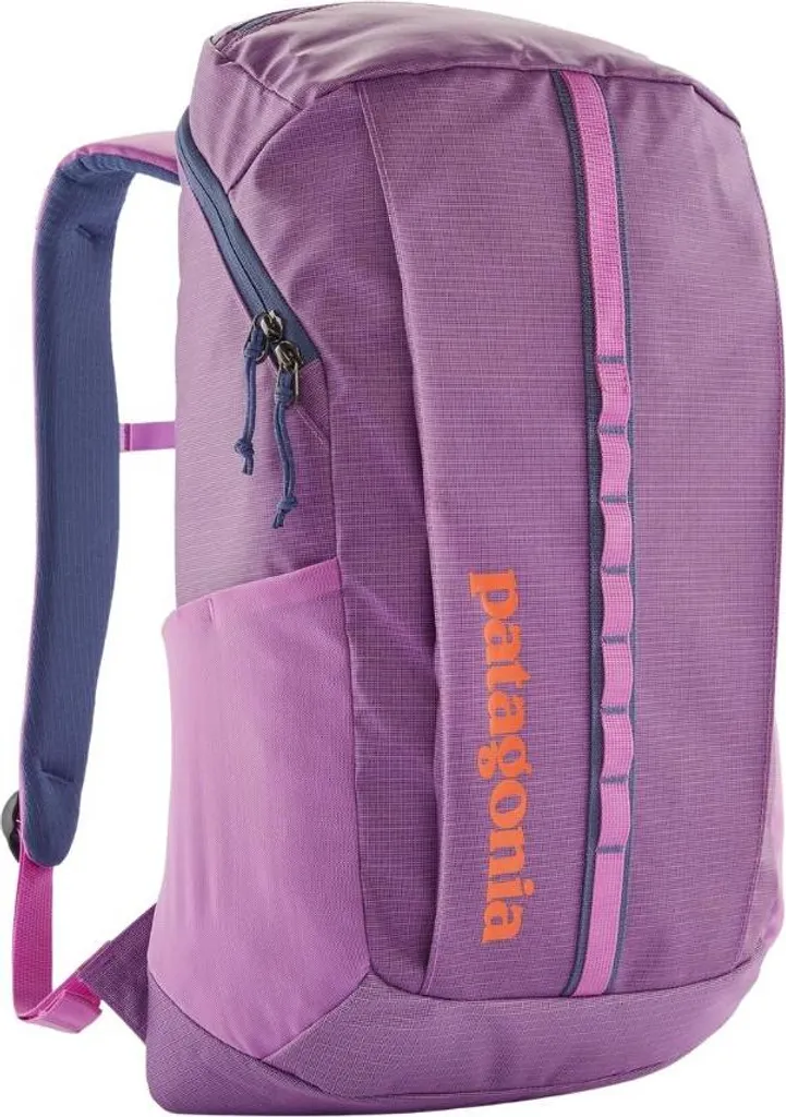 Patagonia Black Hole Pack 25L Viola Vivace - Recensione e Prezzo - 1