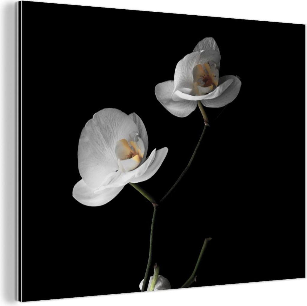 MuchoWow Wanddekoration Metall Metallbild Wandkunst 40x30 cm Orchidee - Blumen - Schwarz - Weiß - Stilleben MuchoWow Aluminium Gemälde - Dekorati...