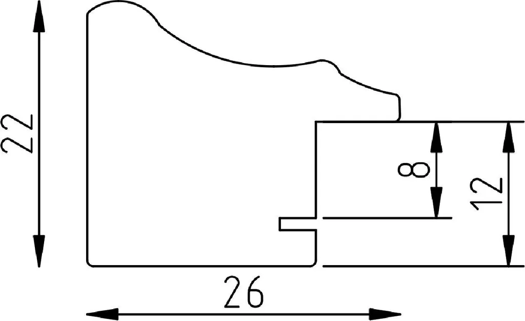 Scheda Tecnica Cornice 25x50 Argento Profilo 41 Vetro Vero - 4